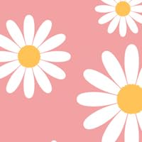 Pink Daisy Flower