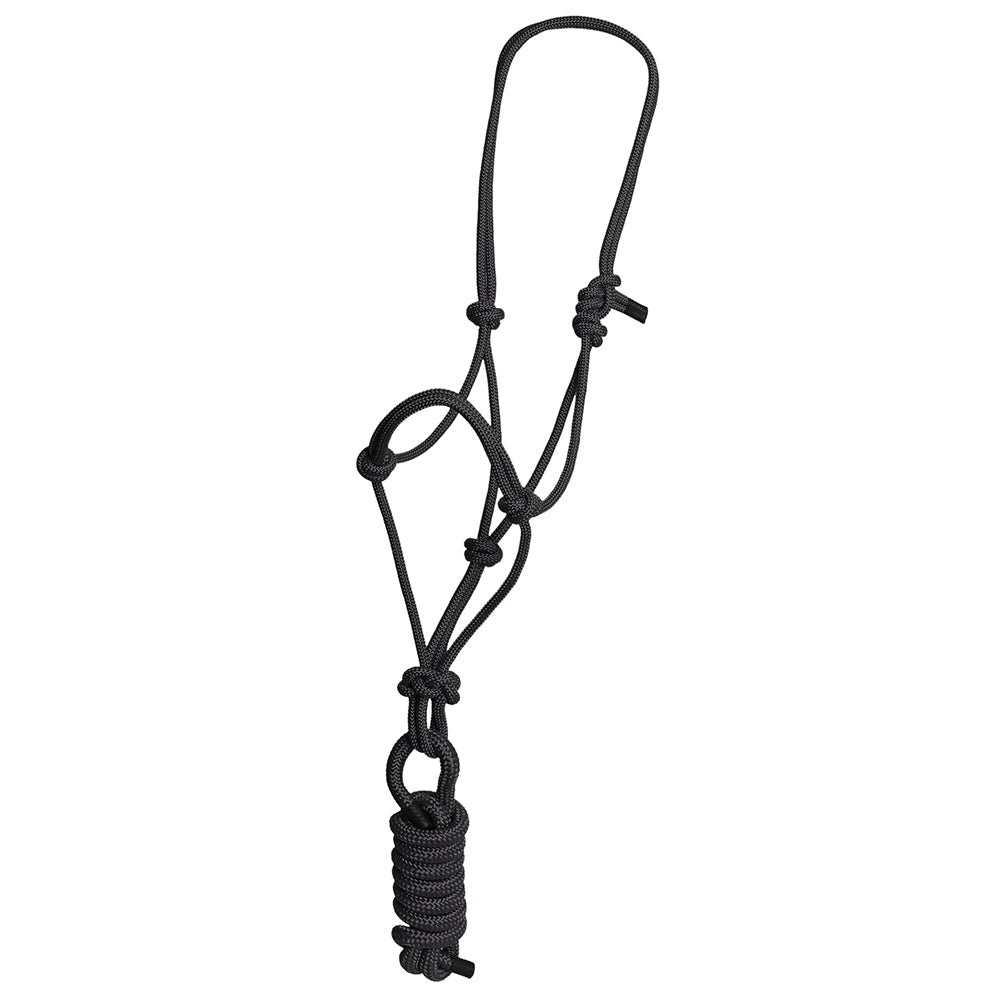 8 Ft Hilason Western Nylon Heavy Duty Horse Lead Rope Halter - Durable Multi-Colored Bridle for Training, Trail Riding & Ranch Work