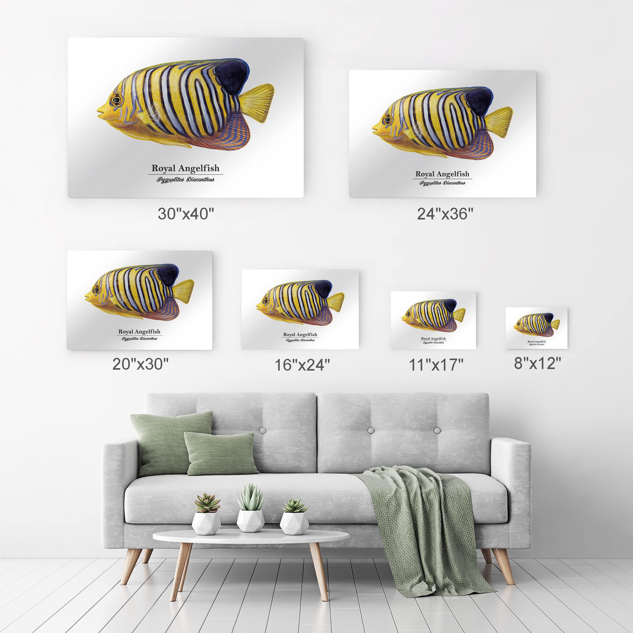 Royal Angelfish Metal Wall Art - 16x24 Inch Marine Animal Painting, Pygoplites Diacanthus Fish Print for Coastal & Nautical Decor - Perfect for Living Room, Bedroom, Kids Room & Office - Handmade in USA | Ocean-Themed Home & Fishing Gift Idea