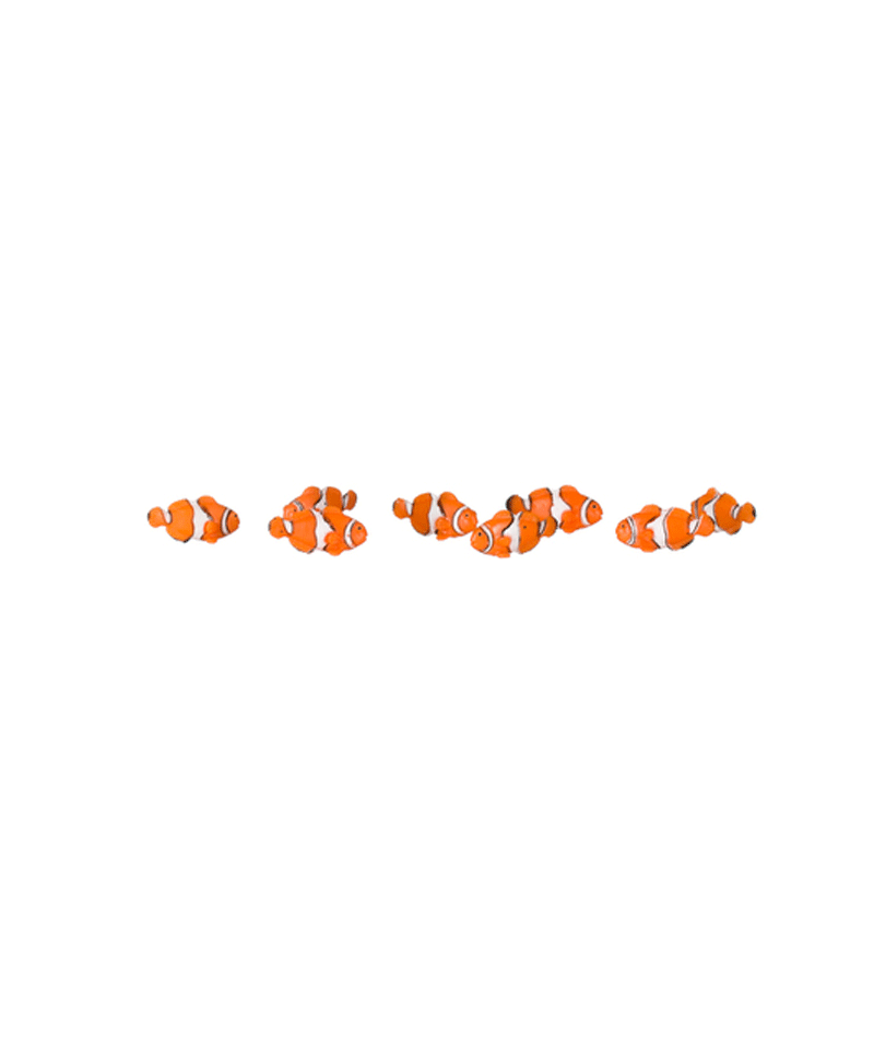 Mini Rubber Animal Toys for Kids - 12 Pack Small Stretchy Animal Figures for Sensory Play, Party Favors, and Educational Learning - Perfect for Birthday Gifts, Classroom Rewards, and Stress Relief