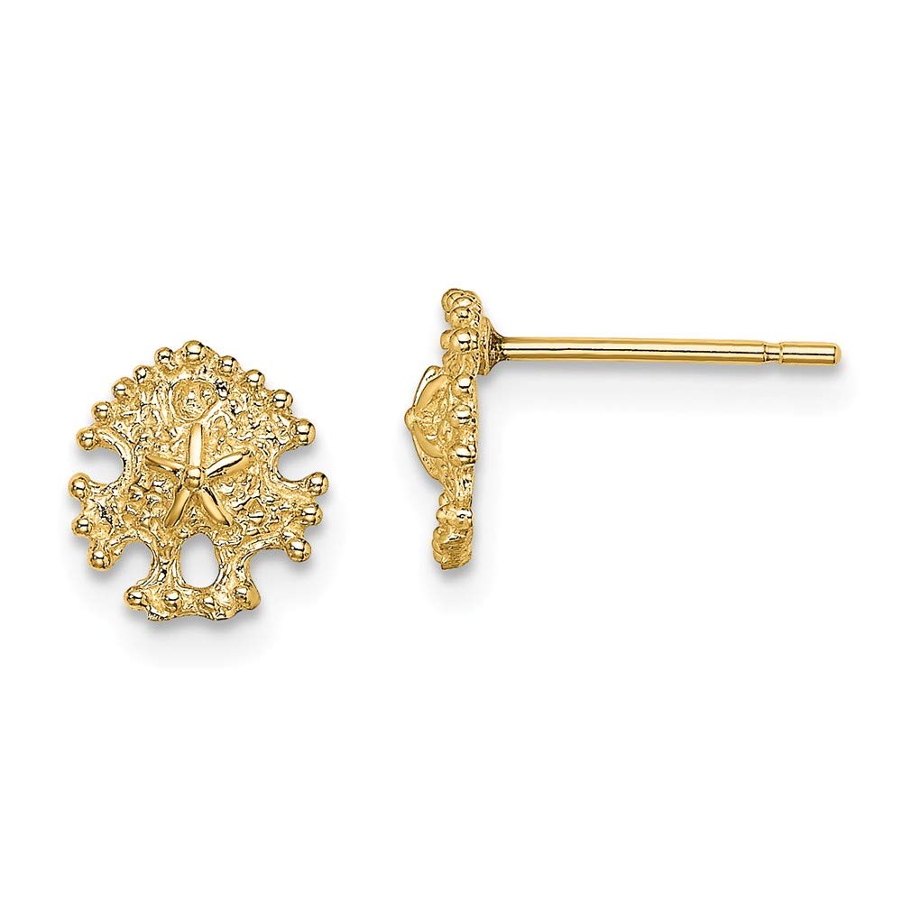 14K Yellow Gold Mini Sand Dollar Post Earrings – Dainty Beach-Themed Jewelry for Women | Perfect for Summer, Vacations & Coastal Weddings