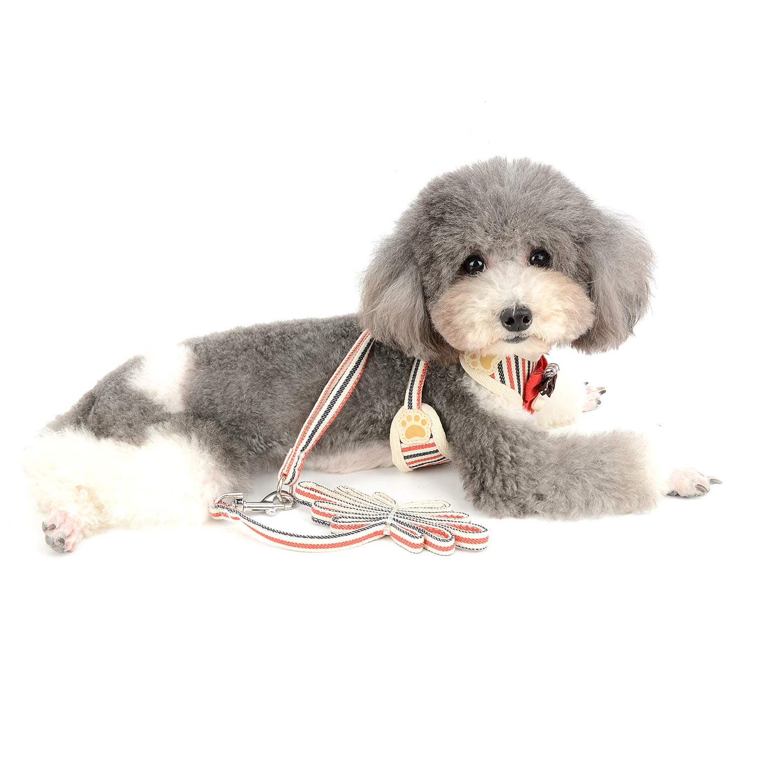 **Ranphy No Pull Mesh Harness for Small Dogs & Cats – Breathable Soft Padded Vest with Leash Set, Escape Proof & Choke-Free Design – Cute Striped Puppy Harness with Flower Bow for Chihuahua, Yorkie (Red) – Perfect for Walks, Training & Outdoor Adventures**