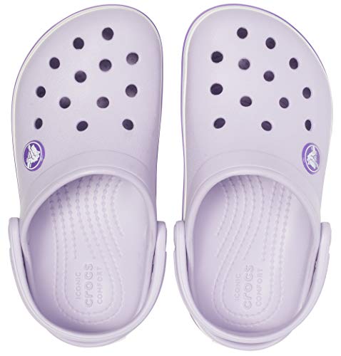 Lavender/Neon Purple