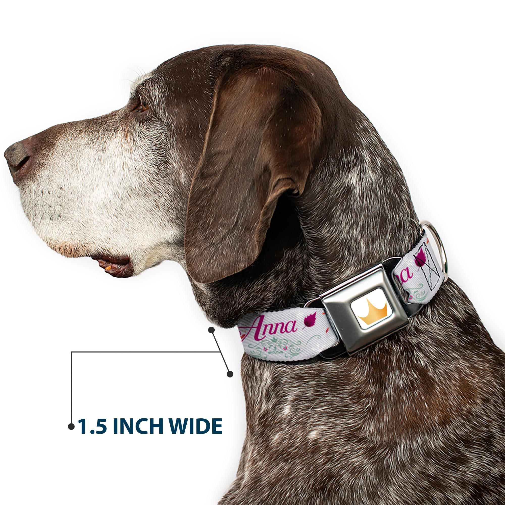 Frozen Anna Castle Dog Collar with Flowers & Script - 15 to 24 Inch Adjustable, 1.0 Inch Wide Pet Seatbelt Buckle (Grays & Pinks) - Perfect for Disney Costumes, Pet Safety & Themed Events