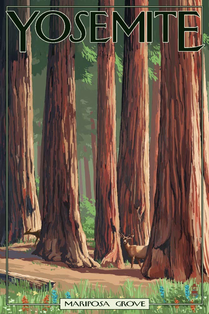 Lantern Press Yosemite California Mariposa Grove Wall Art - 12x18 Wrapped Canvas Print - Nature Landscape Decor for Living Room, Bedroom & Office