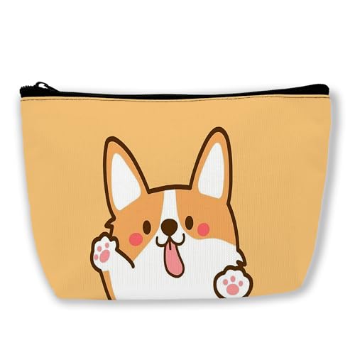 cute corgi dog