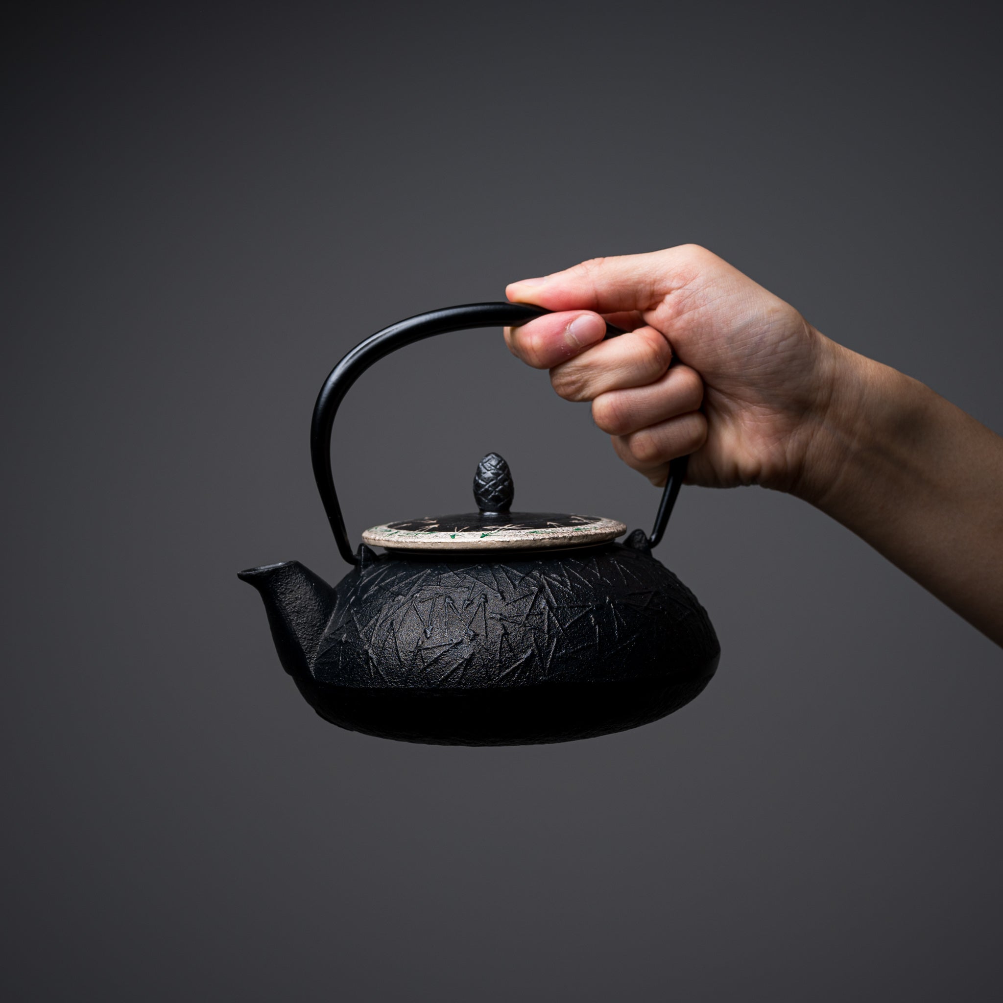 Premium Kyo Kiyomizu Ware Cast Iron Teapot - Authentic Japanese Silver Pine Design, 510ml / Nanbu Ironware - Perfect for Tea Ceremonies & Home Brewing