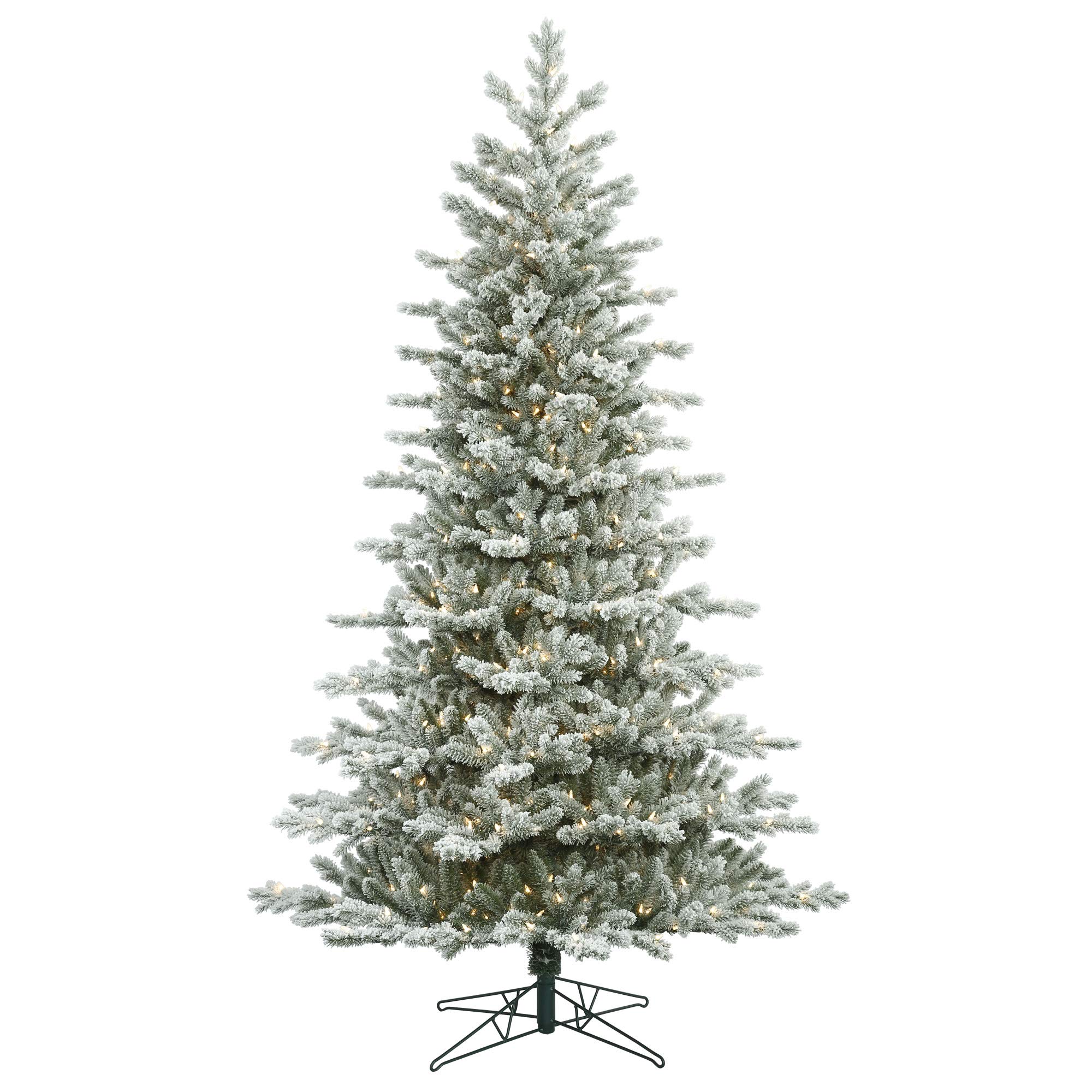 Vickerman 5.5 Foot Frosted Eastern Frasier Artificial Christmas Tree with Clear Dura-Lit Lights - Indoor Holiday Decor for Living Room, Office & Seasonal Home Decoration