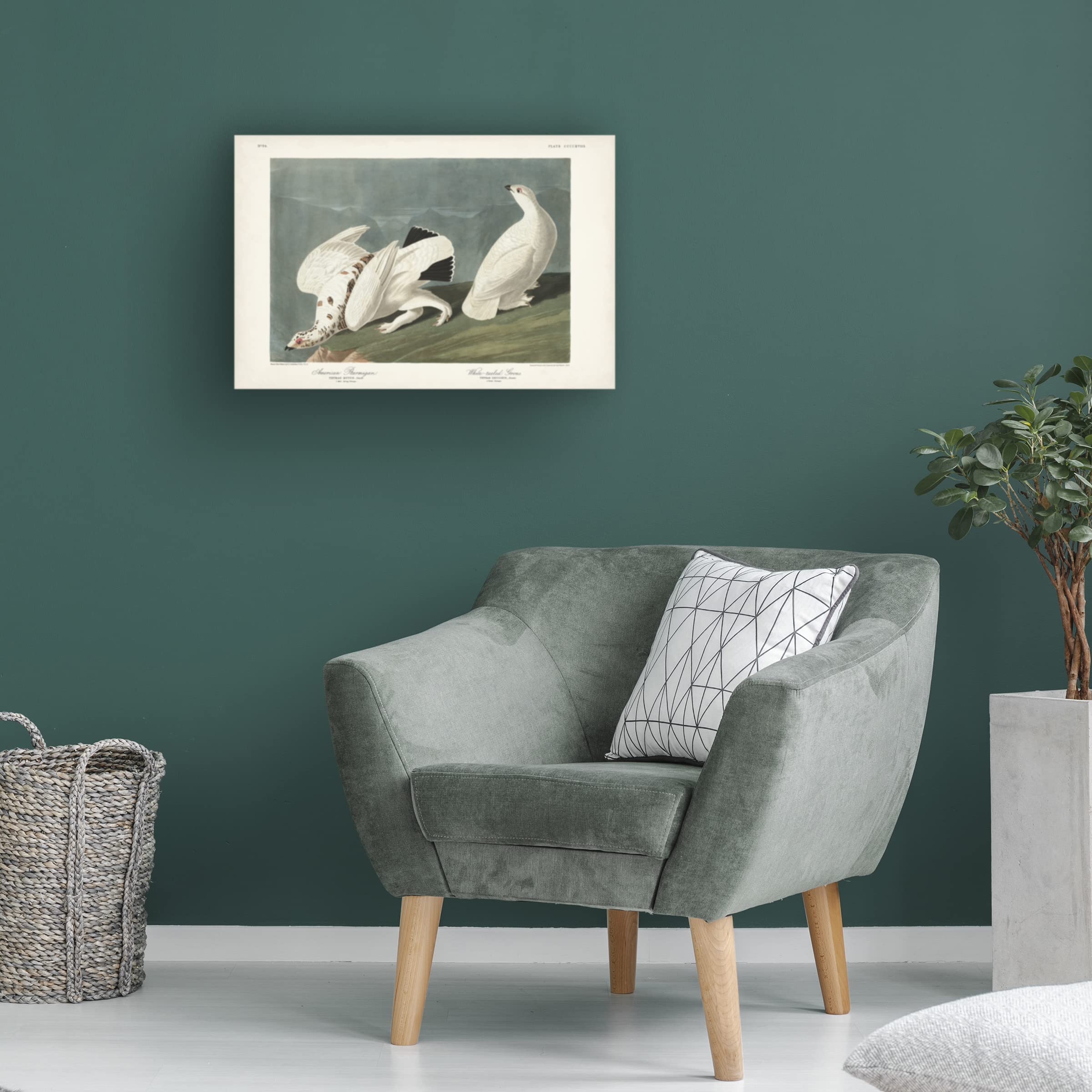 John James Audubon 'American Ptarmigan' Canvas Art Print 12x19 - Premium Wildlife Wall Decor for Living Room, Office & Nature Lovers