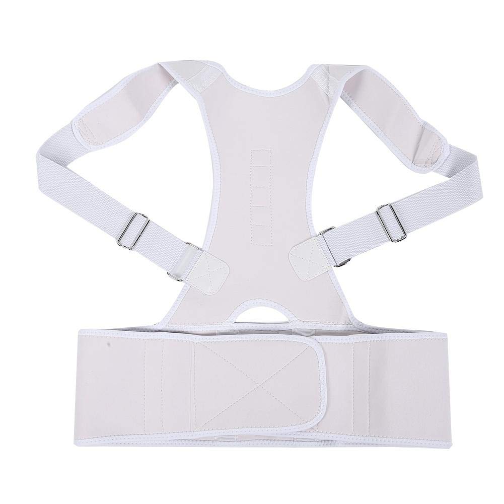 Qinlorgo Magnetic Posture Corrector Belt - Adjustable Back Brace for Spine Support & Hunchback Correction (White, Large) - Ideal for Office Work, Driving & Daily Posture Improvement