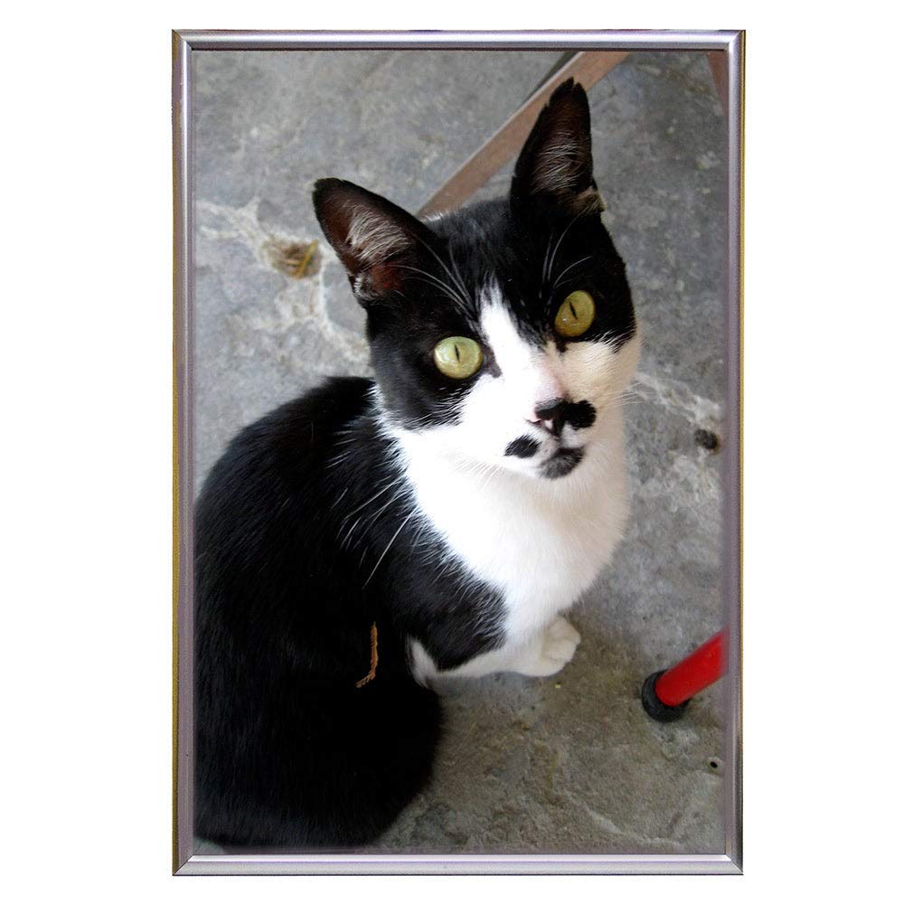 Frame USA 27x41 Deluxe Polystyrene Plastic Poster Frame (Black) - American Made - Perfect for Home Decor, Office Displays & Artwork Protection