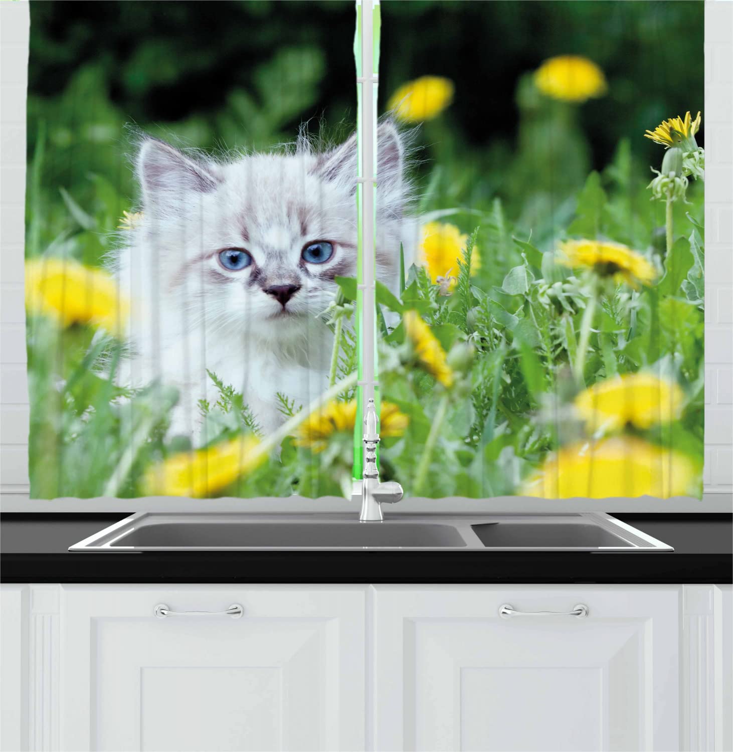 Lunarable Cartoon Long Kitchen Curtains - 2 Panel Set with Rod Pocket, 55