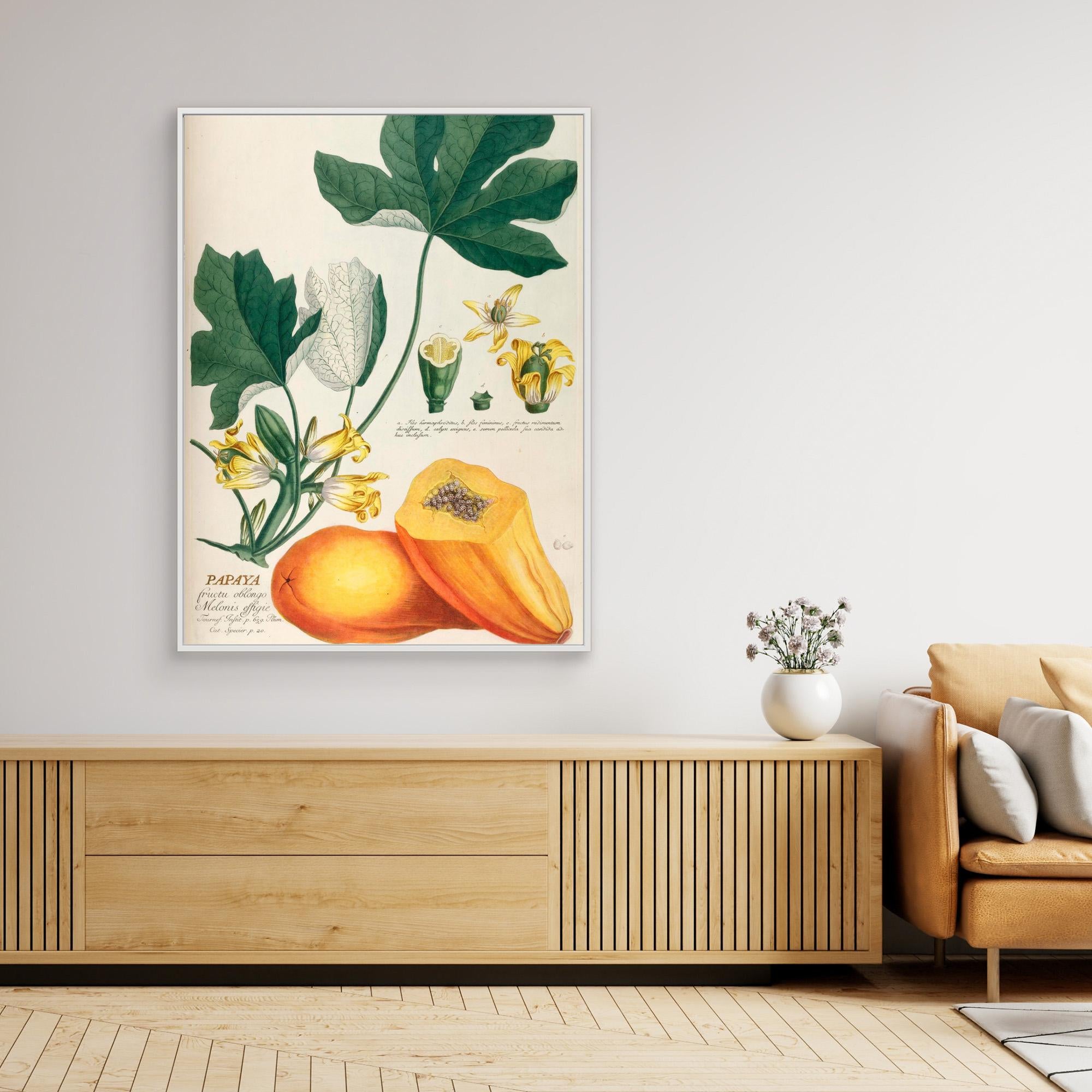 Elizabeth C Papaya Canvas Print - Tropical Fruit Wall Art Decor for Living Room, Bedroom & Office