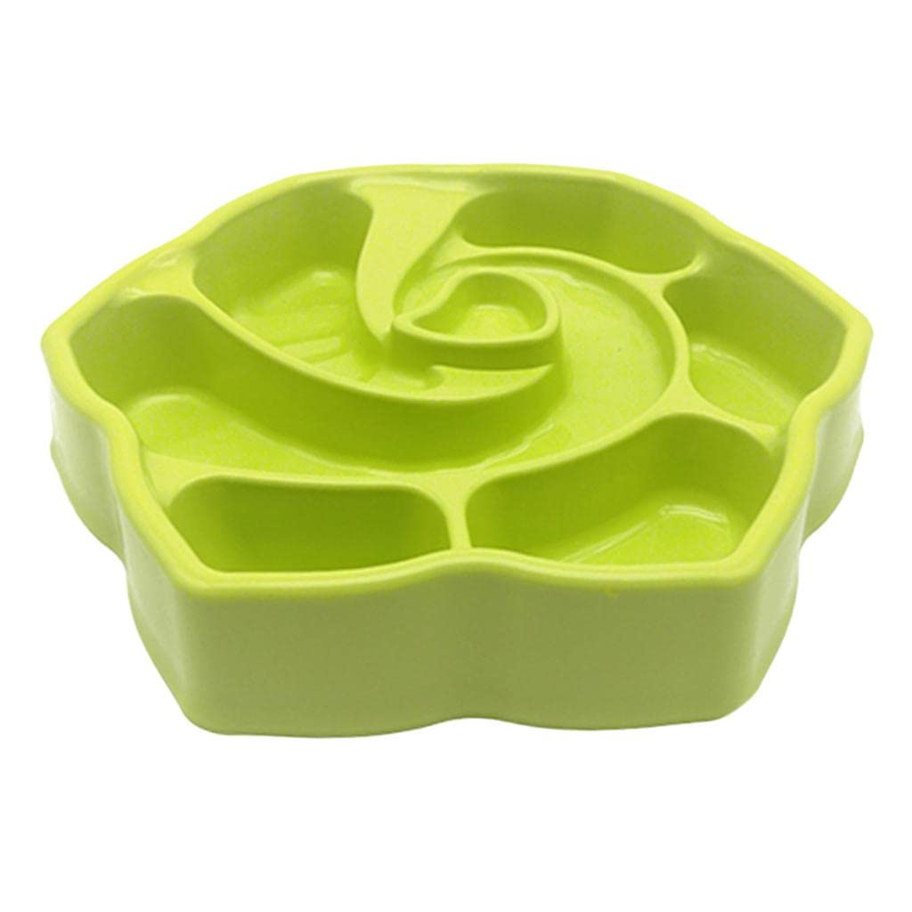 Lyla Slow Feeder Dog Bowl - Anti-Choke Pet Food Dish for Cats & Dogs - Perfect for Mealtime Training & Healthy Eating Habits - Great for Fast Eaters & Digestion Issues