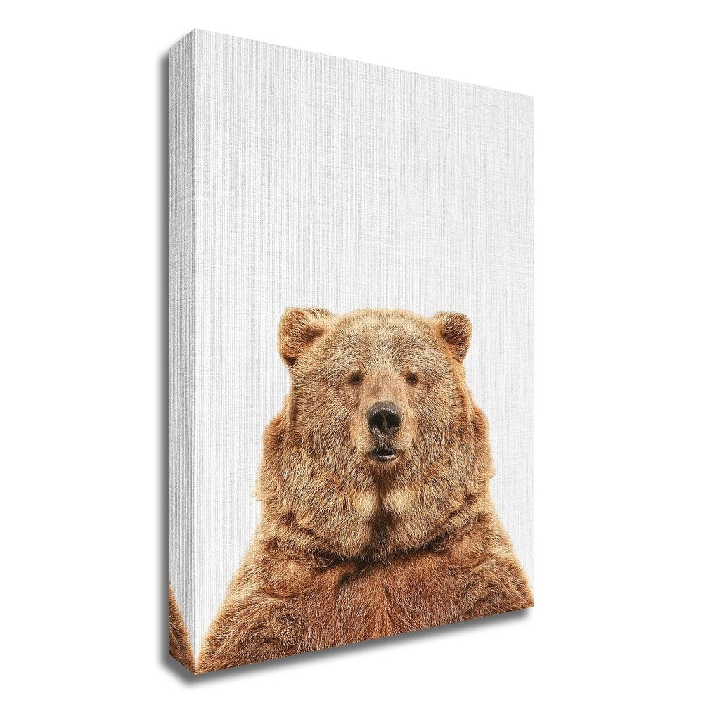 Bear by Tai Prints - Premium Canvas Wall Art Print, Ready to Hang - Perfect for Living Room, Bedroom & Office Decor