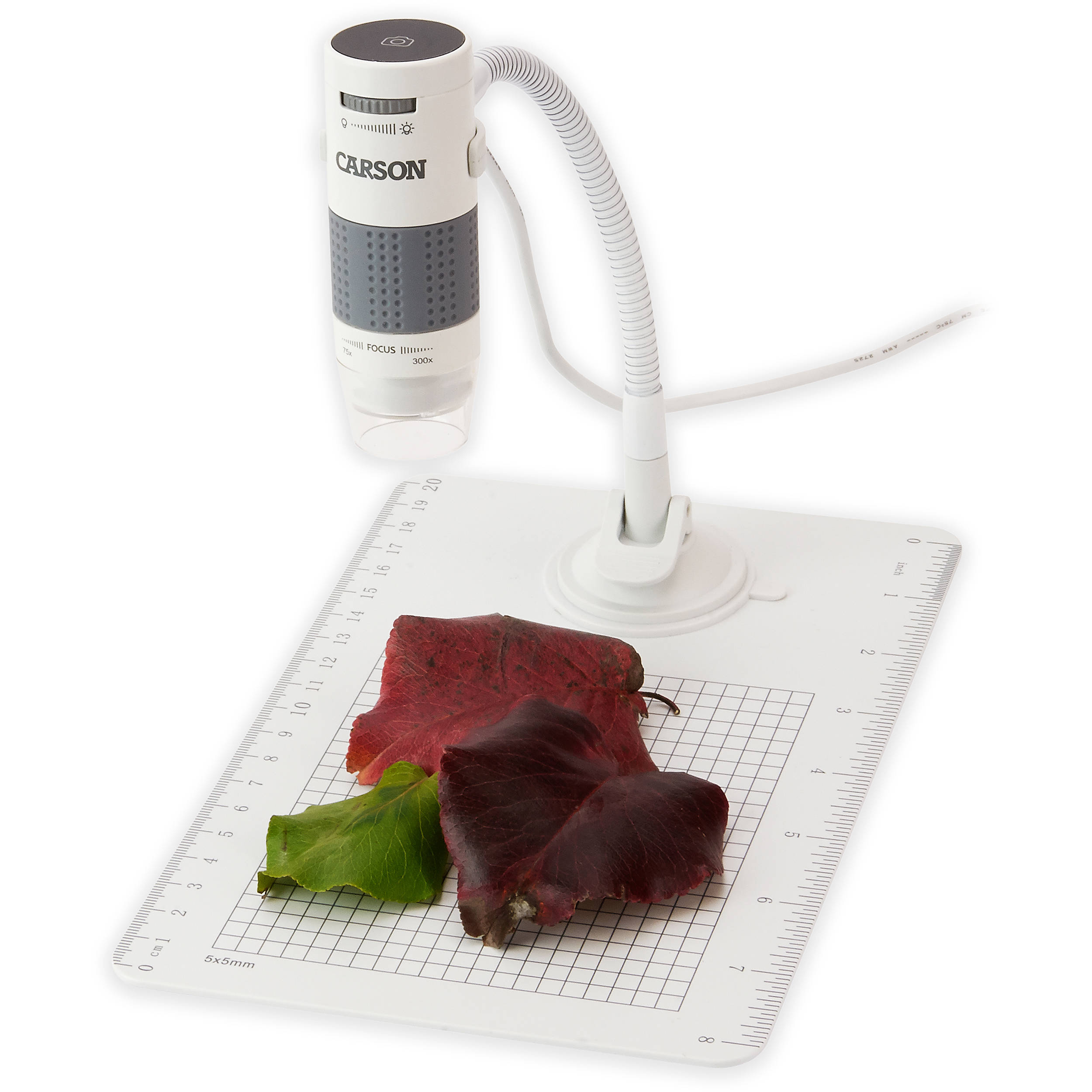 Carson eFlex 75x-300x Digital LED Microscope with Flexible Neck Stand & Base - Ideal for Coin Collecting, Jewelry Inspection, and Electronics Repair