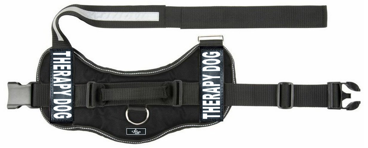 **Therapy Dog Harness with Removable Saddle Bag & 2 Patches – Adjustable Travel Carrier for Small to Medium Dogs – Perfect for Walking, Hiking & Outdoor Adventures – by Doggie Stylz**