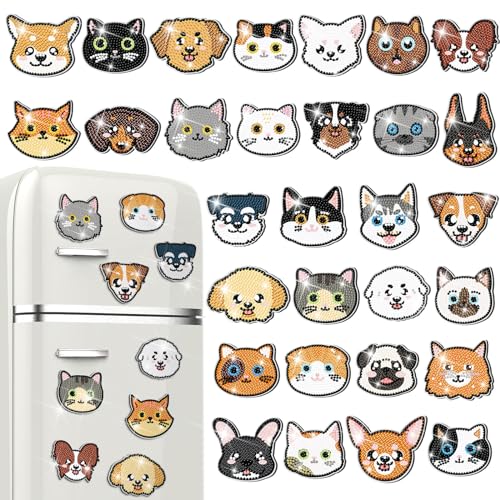 Cat and Dog