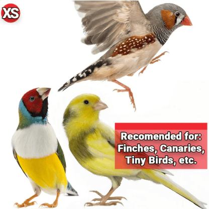 Premium Finch Seed Mix - Nutrient-Rich Gourmet Bird Food for Finches & Small Birds | Perfect for Daily Feeding & Aviary Enrichment