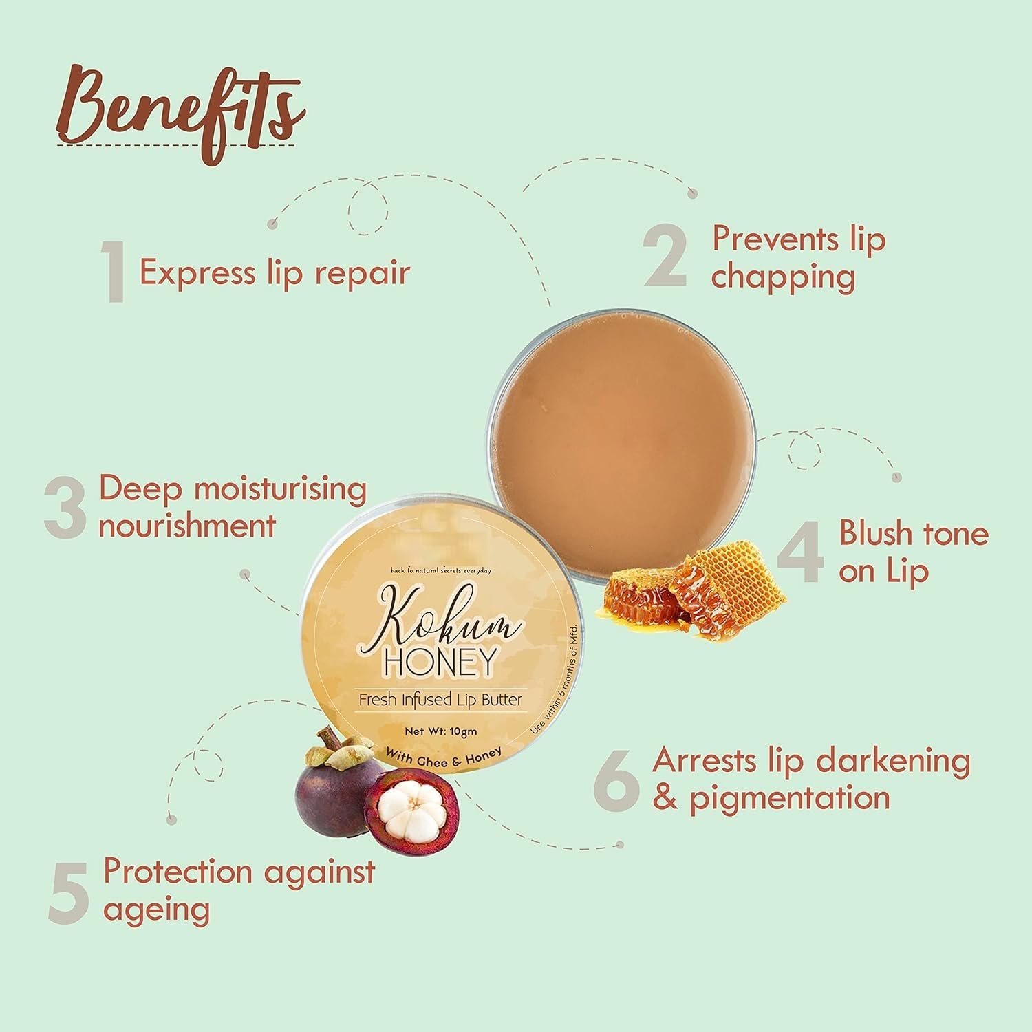 Kokum Honey Lip Balm with Desi Ghee - Dark Lip Repair for Chapped Lips - 10g