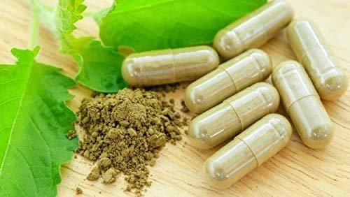 Premium Bulk Sea Moss Capsules & Raw Irish Moss - 24 Bottles x 100 Vegan Capsules - Wholesale Organic Seaweed Supplement for Immunity, Digestion & Skin Health - Perfect for Custom Branding & Health-Conscious Consumers
