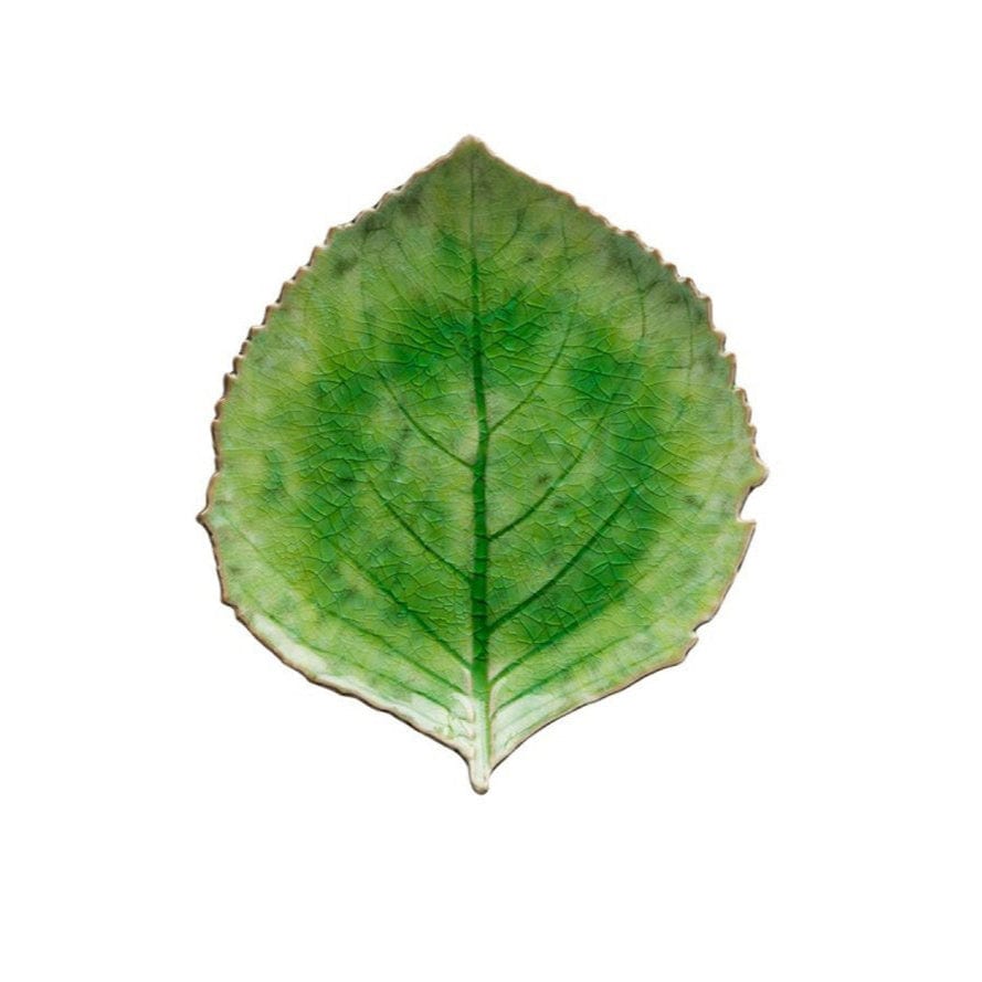 Elegant Riviera Leaf Plate 22cm - Eco-Friendly Green Dinnerware for Home & Restaurant Use | Perfect for Salads, Appetizers & Decorative Serving