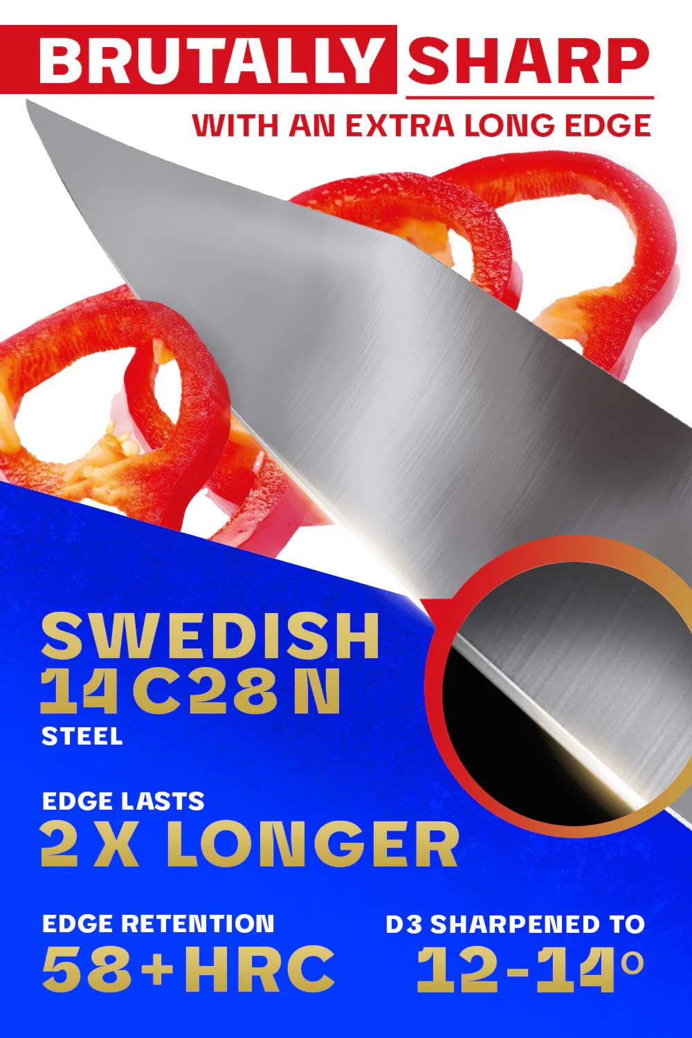 Premium Dalstrong Centurion Series 10