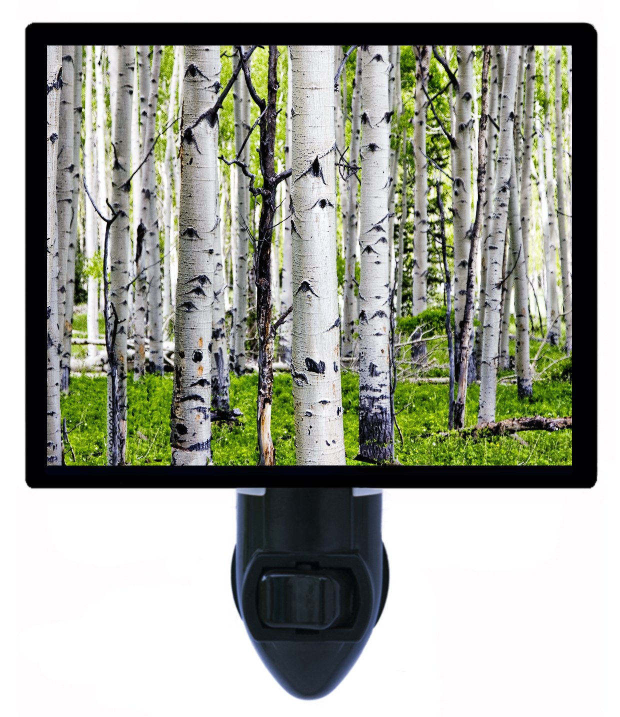 Birch Trees LED Night Light - Forest & Woods Landscape Lamp for Bedroom, Nursery, or Relaxation