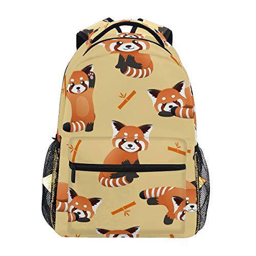 Cute Red Panda Raccoon