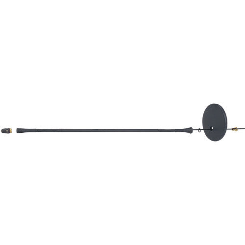 AKG CK31 Cardioid Microphone Capsule - Professional DAM Series Mounting Module Replacement for Studio Recording, Podcasting & Live Performances