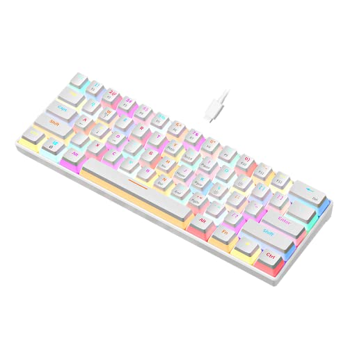 White&RGB