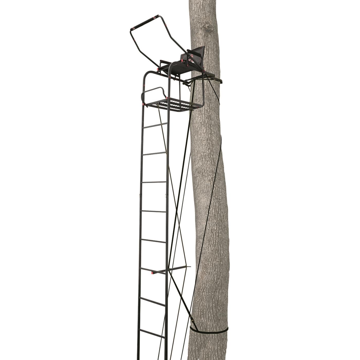 Primal Tree Stands Single Vantage Deluxe 17 Foot Ladder Tree Stand with Jaw & Truss Stabilizer System - Perfect for Hunting, Wildlife Observation, and Outdoor Adventures