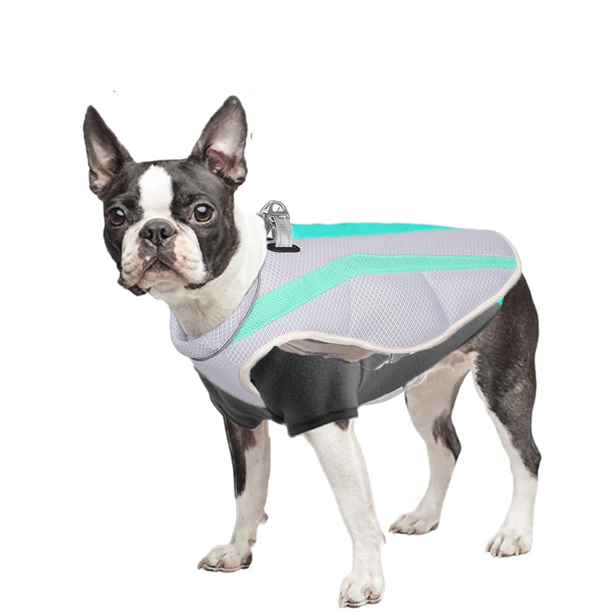 Cooling Vest for Dogs - Lightweight Summer Cooling Shirt with Reflective Strips for Medium Dogs | Perfect for Hot Weather Walks, Hiking & Outdoor Adventures
