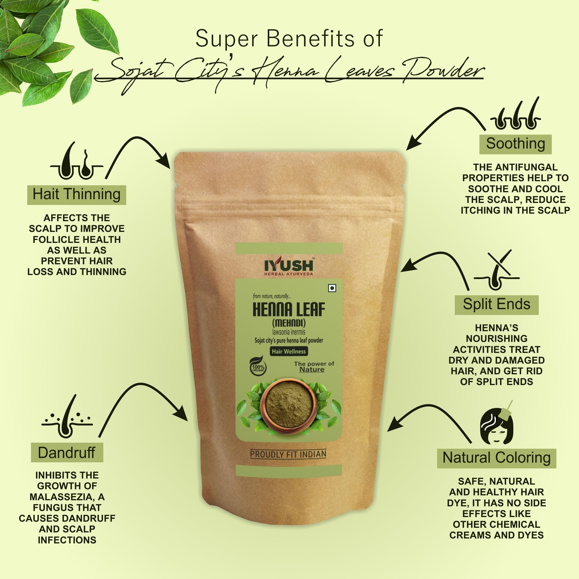 Organic IYUSH Ayurvedic Henna Powder for Hair – 400gm | Natural Herbal Hair Dye & Conditioning Treatment | Chemical-Free Gray Coverage & Hair Coloring | Perfect for DIY Hair Care, Bridal Mehendi, and Natural Hair Styling