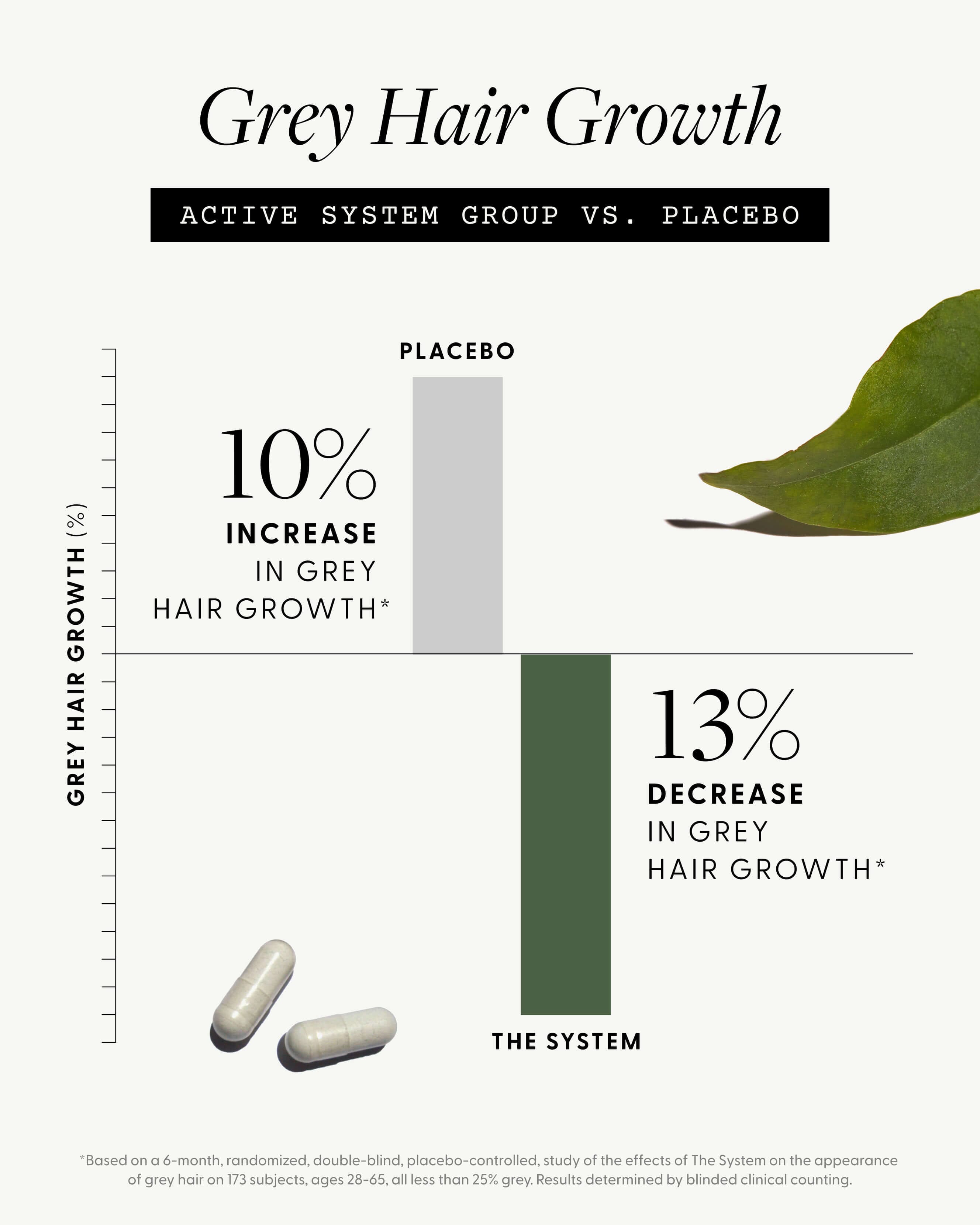 To The Root Hair Growth Serum - Natural & Organic Scalp Treatment for Thicker, Stronger Hair - Perfect for Daily Use at Home or Salon