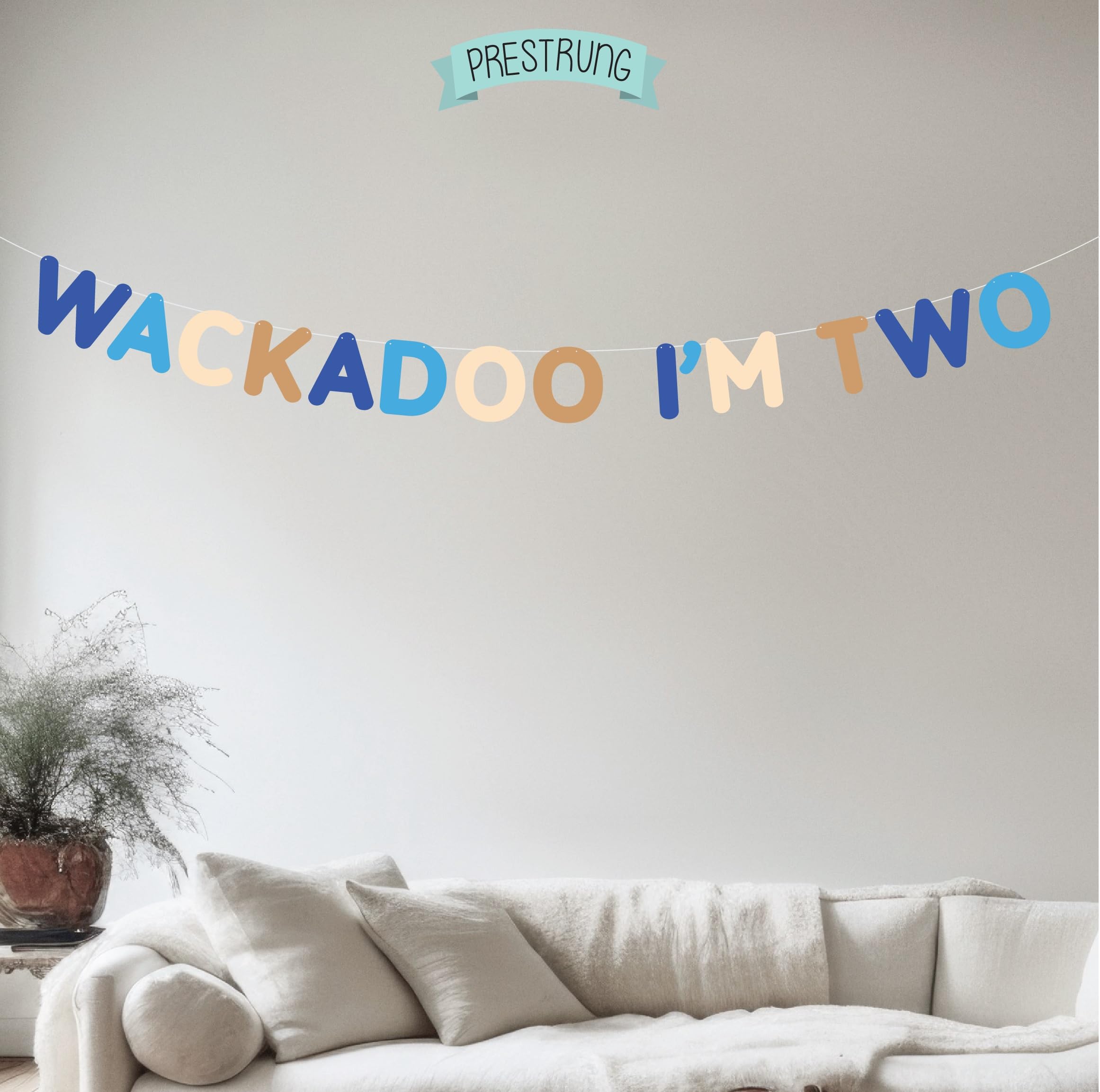 Wackadoo I'm Two Birthday Banner - Blue 2nd Birthday Party Decorations for Boys & Girls | Perfect for Baby Showers, First Birthdays, and Nursery Room Decor