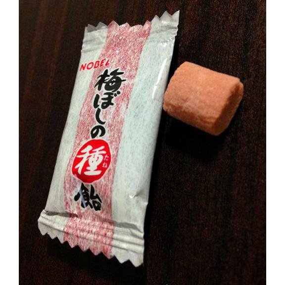 Nobel Umeboshi no Taneame Pickled Plum Seed Candy 30g - Authentic Japanese Snack for On-the-Go Energy & Digestive Health - Perfect for Office, Travel & Healthy Lifestyle
