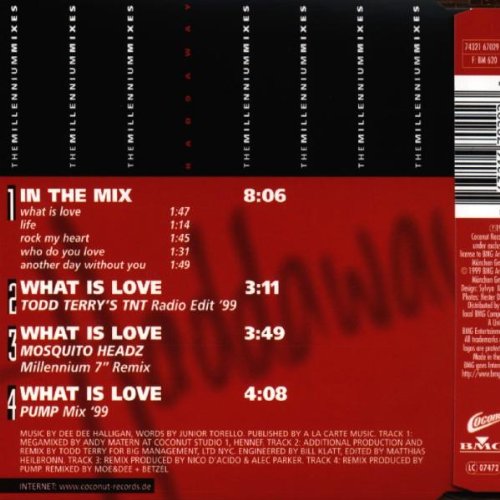 What Is Love: Millennium Remixes - Classic Dance Hits for Parties, Workouts & 90s Nostalgia