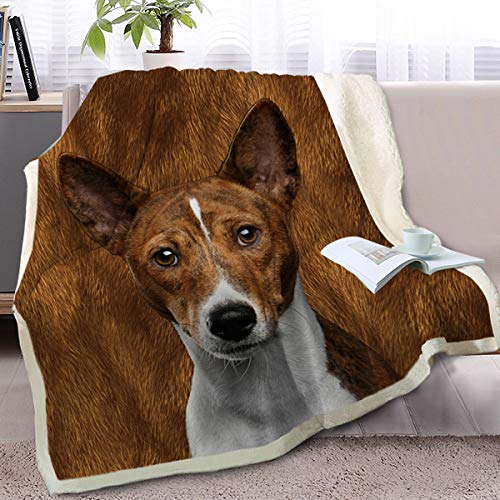 Basenji