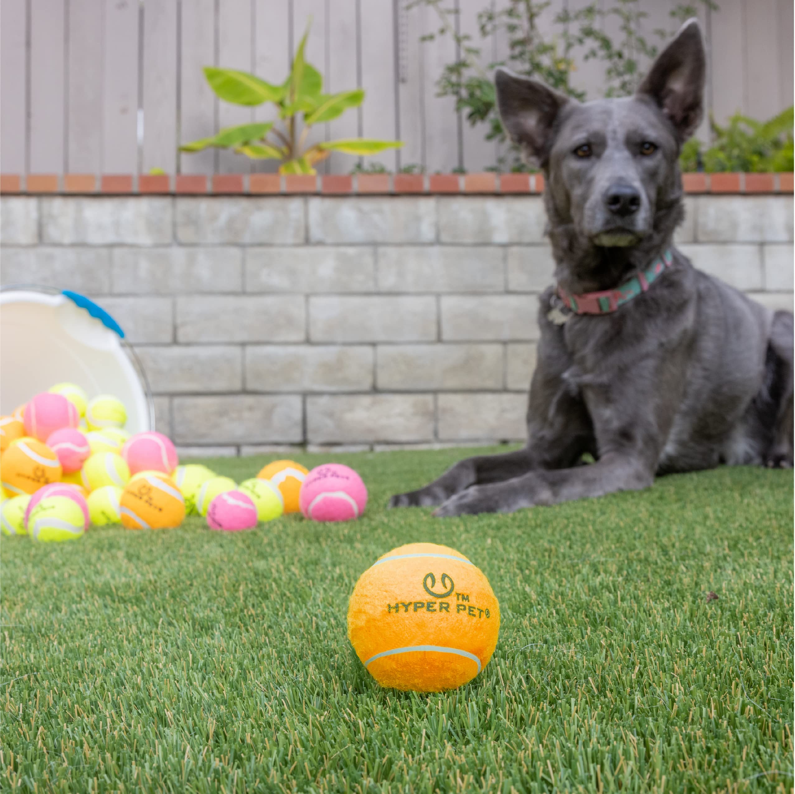 Hyper Pet MINI Tennis Balls for Dogs - Safe Chew Toys for Exercise & Training - Bright Orange Interactive Dog Toys (Pack of 4) - Perfect for Fetch, Outdoor Play & K9 Kannon Ball Launcher