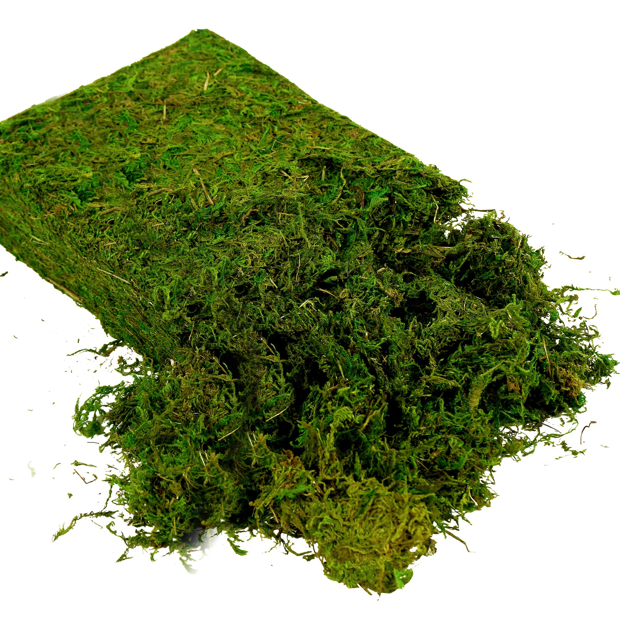 Usmola Artificial Fake Moss - 8OZ Realistic Green Craft Moss for Potted Plants, Centerpieces, Terrariums & DIY Home Decor - Perfect for Fairy Gardens, Floral Arrangements & Tabletop Displays