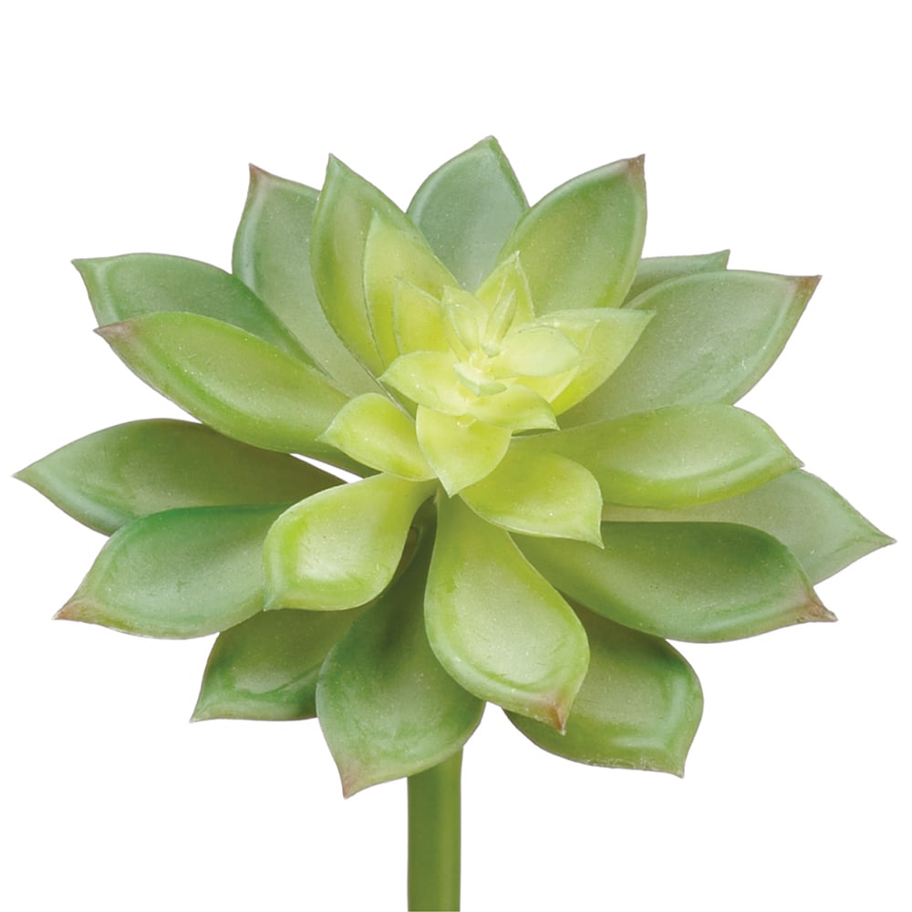 10H x 4.3W Green Soft Echeveria Artificial Stem Picks - Pack of 24 - Perfect for DIY Home Decor, Wedding Centerpieces, and Floral Arrangements