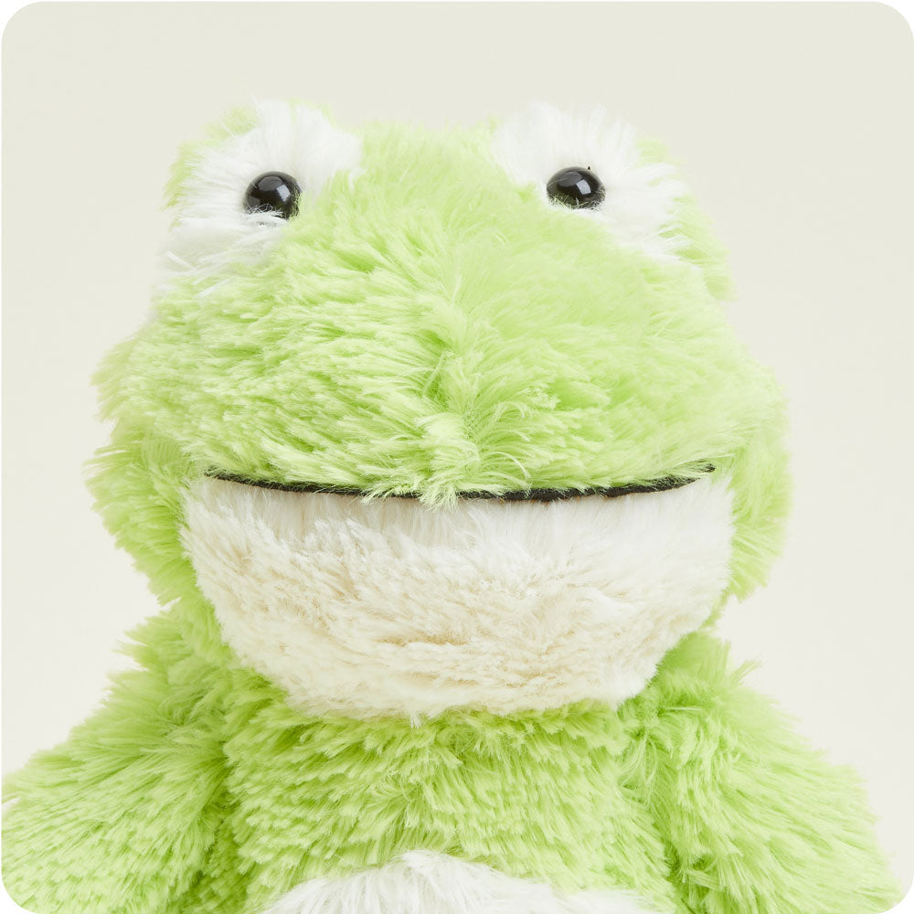 Cozy Heated Frog Plush - Soft & Warm Stuffed Animal for Kids & Adults - Perfect for Cold Nights, Stress Relief & Gifts