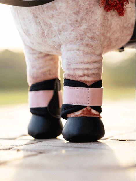 Le Mieux Toy Pony Grafter Boots - Durable Horse Riding Boots for Kids & Adults - Perfect for Equestrian Training, Show Jumping & Stable Work