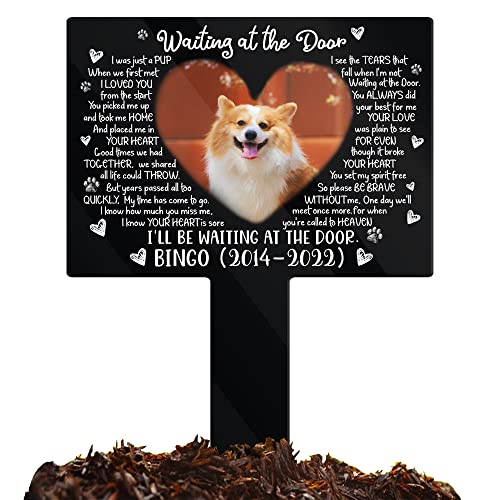 Dog 3