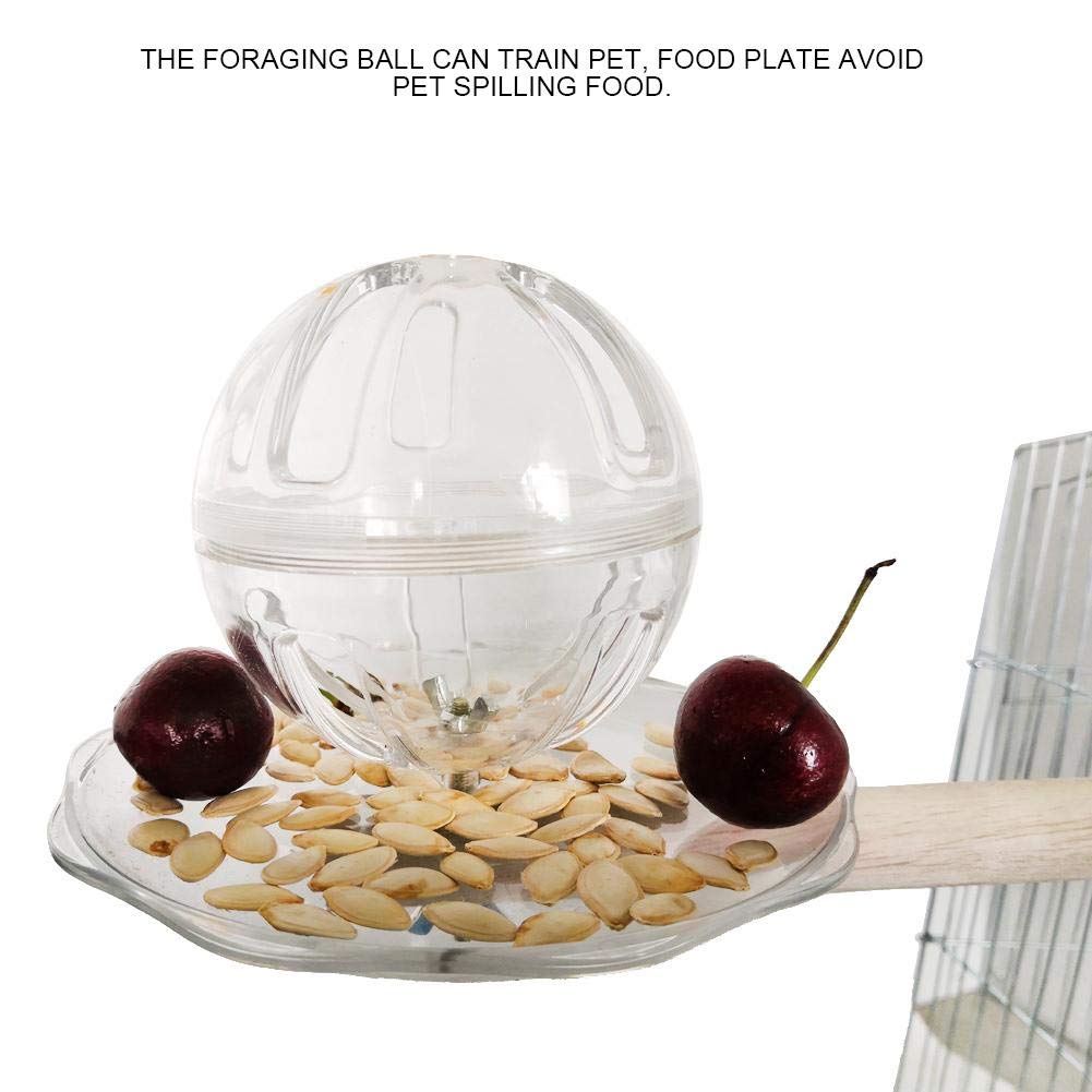 Bird Foraging Ball Toy - Creative Buffet Feeder with Swing & Bite Stand for Parrots, Cockatiels - Perfect for Training & Enrichment Activities