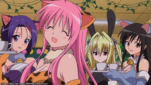 To Love Ru: The Complete Collection - Anime DVD Box Set for Fans, Romantic Comedy Series, Perfect for Binge-Watching & Collecting