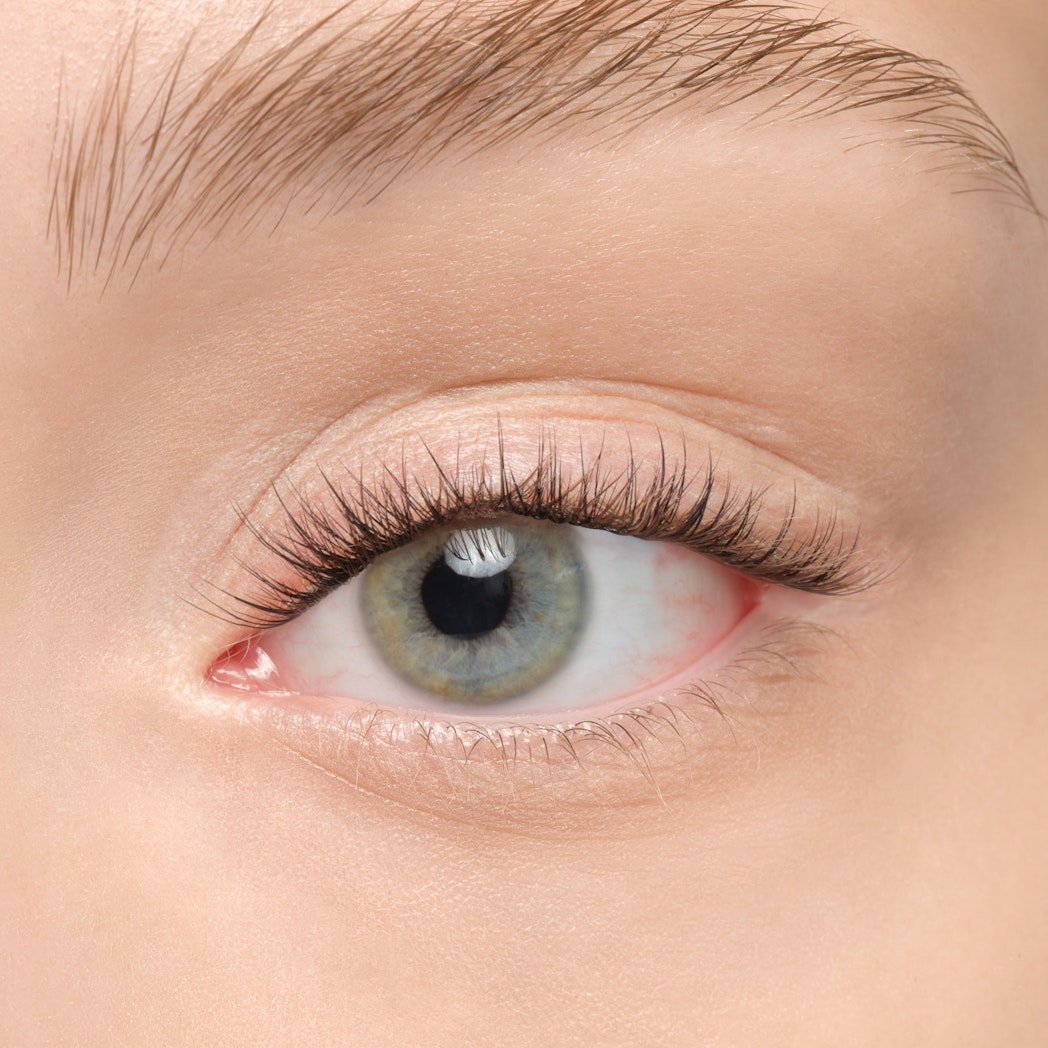Plushy Gossamer® False Eyelashes - Natural Wispy Lashes for Dramatic Eye Makeup | Perfect for Parties, Weddings & Special Occasions