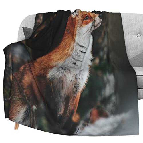 Red Fox