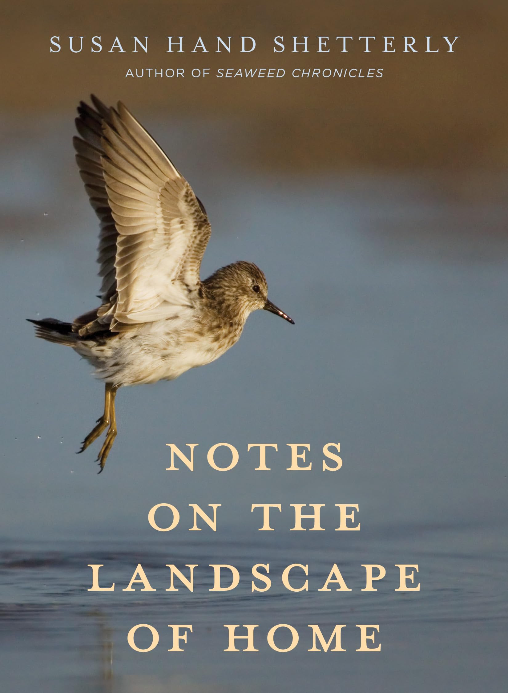 Landscape of Home: Reflections & Insights on Domestic Spaces | Perfect for Home Decor Enthusiasts & Interior Design Inspiration